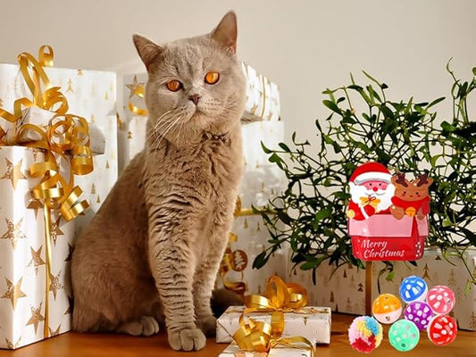 25 Pack Christmas Cat Toy, Kitten Toy Bag Set Assorted with Cat Spring Toy, Cat Ball Toy, Crinkle Cat Toy, Mouse for Cats Interactive Play - PAWPICO