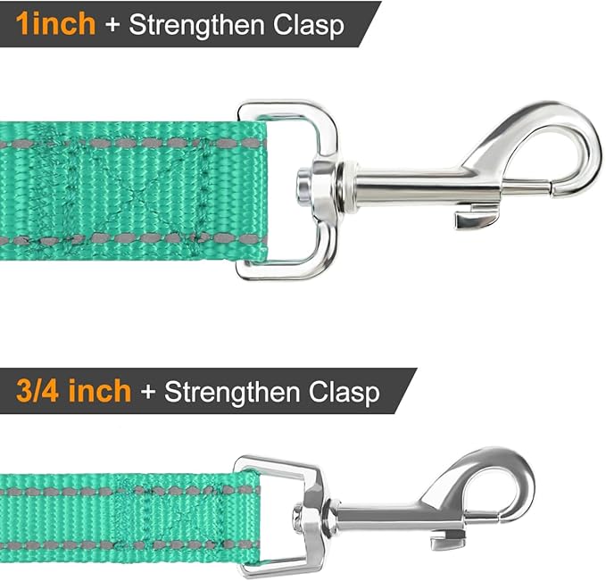 Joytale Double-Sided Reflective Dog Leash, 6 FT/5 FT/4 FT, Padded Handle Nylon Heavy Duty Leashes for Small & Medium Dogs Walking, Teal, 4FT Joytale