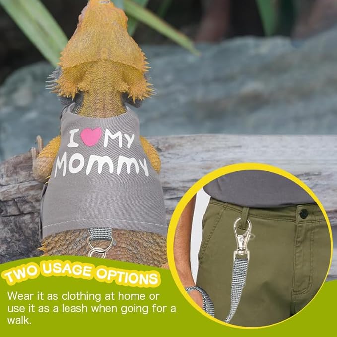 Bearded Dragon Leash and Harness Adjustable - Bearded Dragon Leash and Harness Set with Lizard Luminous Leash for Amphibians Chameleons Small Pet Animals Outdoor Safety Walking(Grey) HOKABLE