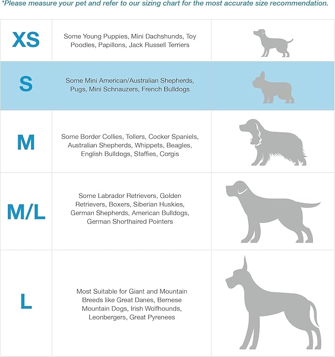 Blue-9 Buckle-Neck Balance Harness, Fully Customizable Fit No-Pull Harness, Ideal for Dog Training and Obedience, Made in The USA, Hot Pink, Small Blue-9