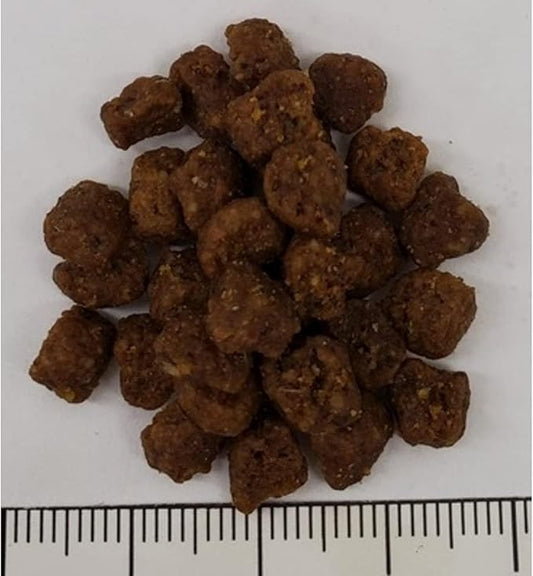 IAMS PROACTIVE HEALTH Healthy Kitten Dry Cat Food with Chicken Cat Kibble, 16 lb. Bag - PAWPICO