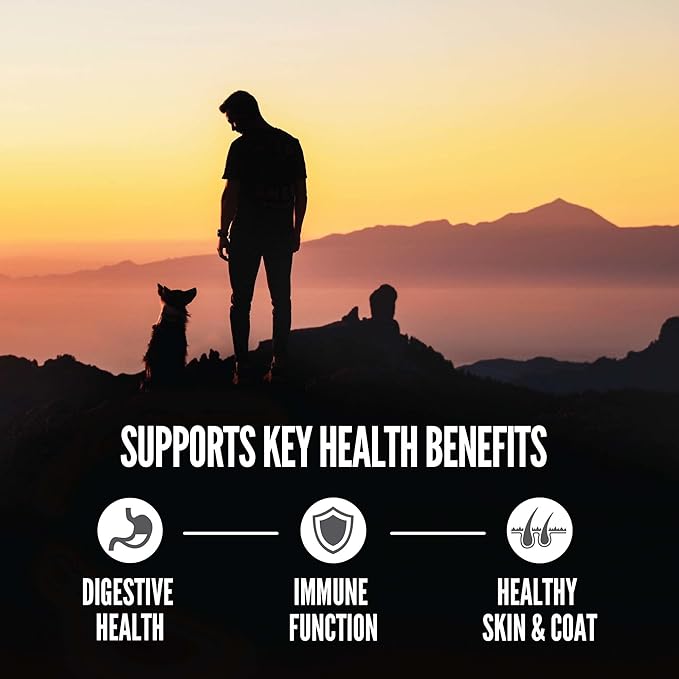 ORIJEN Amazing Grains Regional RED Dry Dog Food, High Protein Dog Food for All Life Stages, Fresh or Raw Ingredients, 4lb - PAWPICO