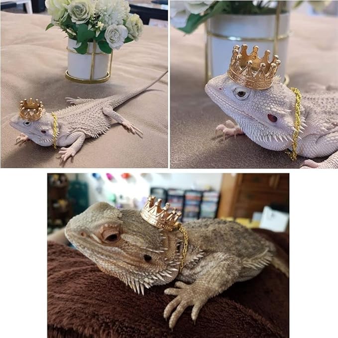 2Pcs Lizard Crown Necklace Set Metal Lizard Outfit Reptile Clothes Accessories Lizard Photo Props for Bearded Dragons Iguana Amphibians and Other Small Animals (Gold) KUNBIUH