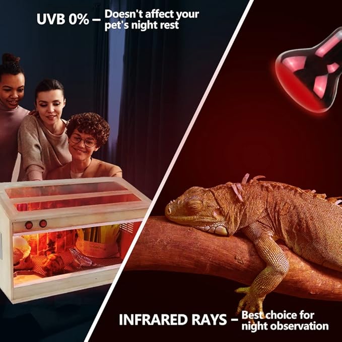 LUCKY HERP Infrared Heat Lamp 100W 2 Pack,Reptile & Amphibian Basking Spot Light Bulbs, Red Heat Lamp Bulbs for Reptiles, Bearded Dragon, Turtle, Lizard, Snake, Chicken LUCKYHERP