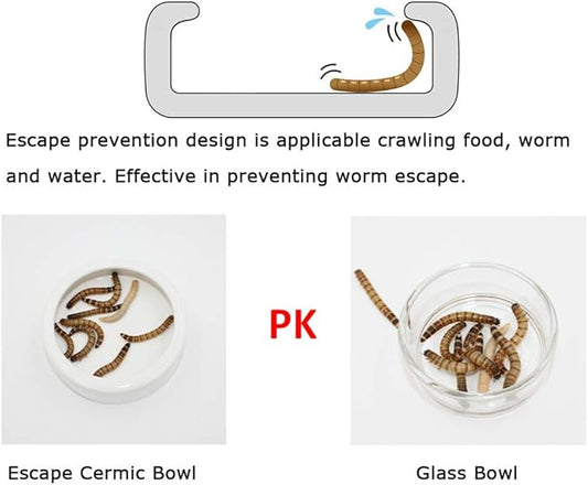 Tfwadmx 2 Pack Reptile Food Bowl, Mini Ceramic Water Feeder Bowl, Reptile Worm Feeding Dish for Lizard Turtle Bearded Dragon Anoles Crested Gecko Hermit Crab Leopard Gecko Chameleon Corn Snake Tfwadmx
