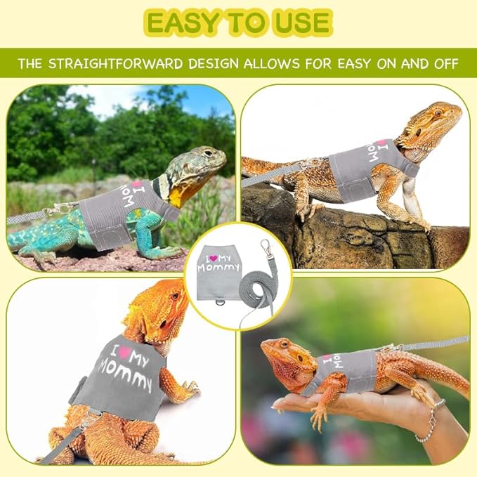 Bearded Dragon Leash and Harness Adjustable - Bearded Dragon Leash and Harness Set with Lizard Luminous Leash for Amphibians Chameleons Small Pet Animals Outdoor Safety Walking(Grey) HOKABLE