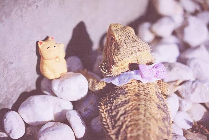 Lizard Bearded Dragons Stretchy Pink White Plaid Bowtie with Elastic Lace Decor Handmade Bowknot Collar Bandanas Costume Reptile Apparel Photo Gift Lizard Clothes Accessories for Bearded Dragon HAICHENTEC