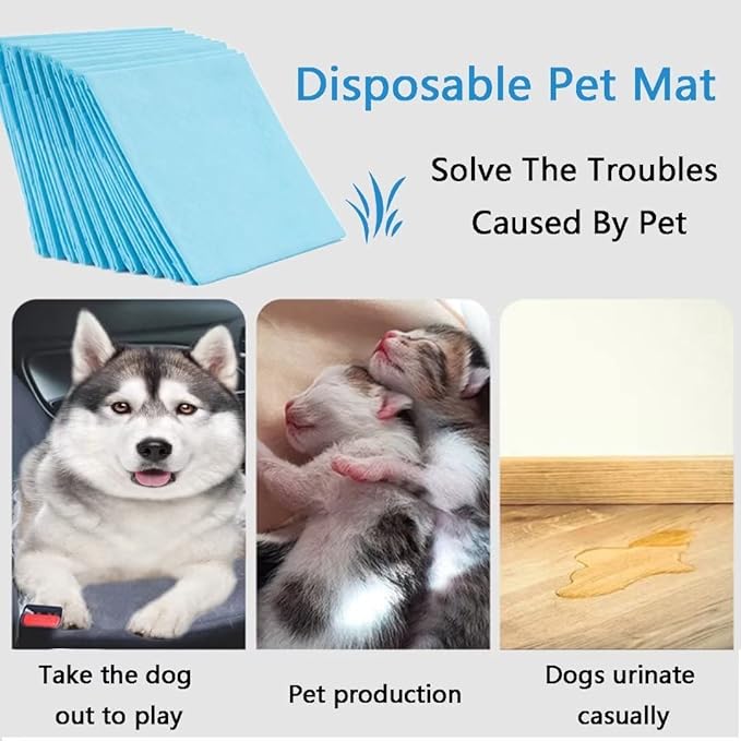 60 Count Pee Pads for Dogs,36"x36" Dog Pee Pads Extra Large,Dog Pads Leak-Proof & Puppy Pads Quick Dry,Disposable Training Potty Pads for Dogs Cats, Rabbits - PAWPICO