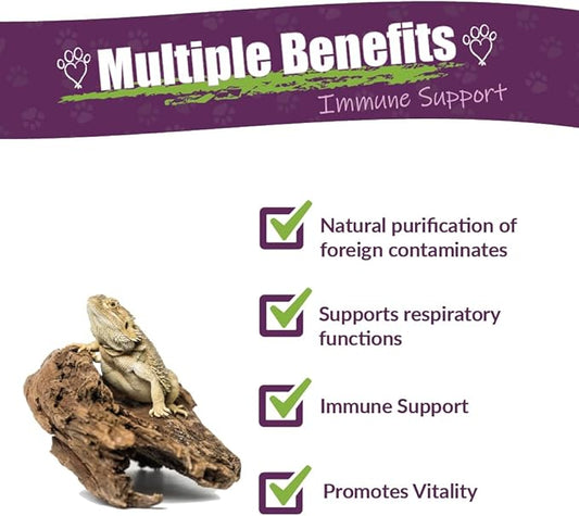 AMBER NATURALZ Reptaid Herbal Supplement for Small Reptiles | Herbal Pet Supplement for Immune Support | for Reptiles Under 250g | 1 Fluid Ounce Glass Bottle | Manufactured in The USA AmberNaturalZ