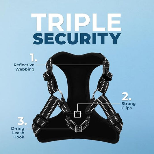 Best Pet Supplies Voyager Adjustable Dog Harness Leash Set with Reflective Stripes for Walking Heavy-Duty Full Body No Pull Vest with Leash D-Ring, Breathable All-Weather - Harness (Black), M BestPetSuppliesLLC