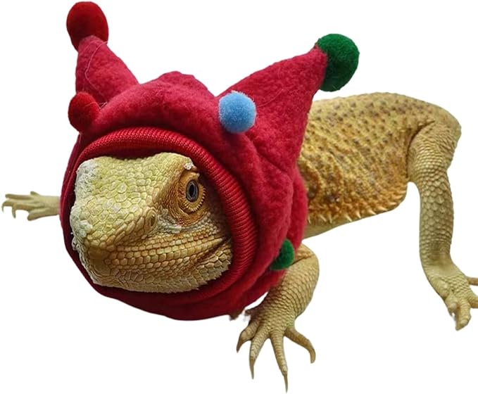 Bearded Dragon Hat - Winter Warm Lizard Cap with Horns & Pom Pom Ball Fun Halloween Outfit Bull Costume Elastic Headwear Accessories Anxiety Relief Ear Muffs for Reptile Fancy Rat Ferret (Red) SEZDEKI