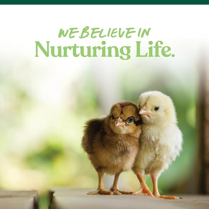 Manna Pro Medicated Chick Starter Grower - Crumbled Chick Feed - Feed for Young Chickens - 6-Pack of 5lbs MannaPro