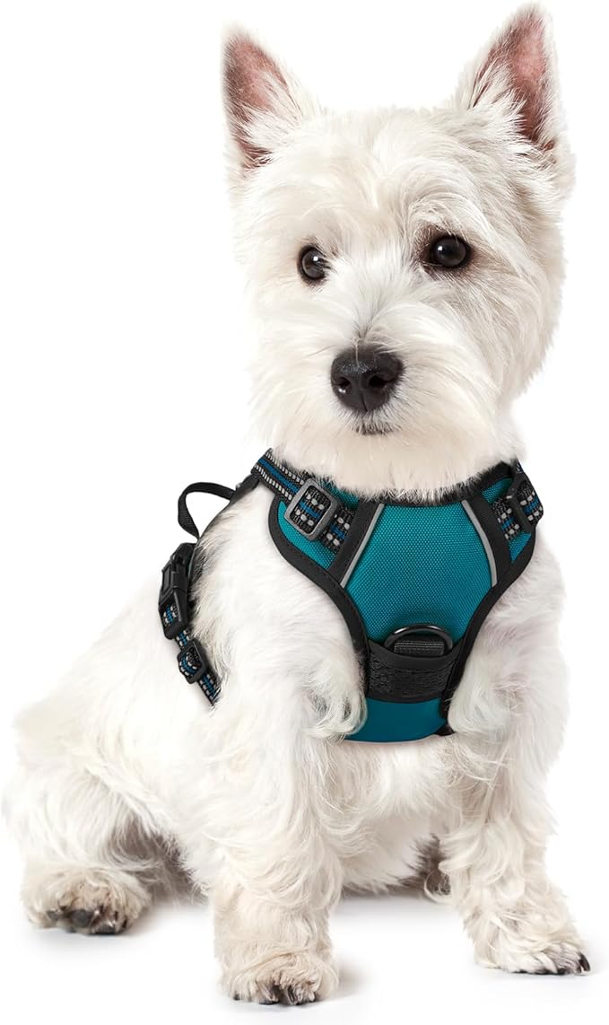 rabbitgoo Dog Harness No Pull with 2 Leash Clips, Adjustable Soft Padded, Reflective Oxford No Choke Pet Vest with Easy Control Handle for Puppy, Blue Coral, XS rabbitgoo