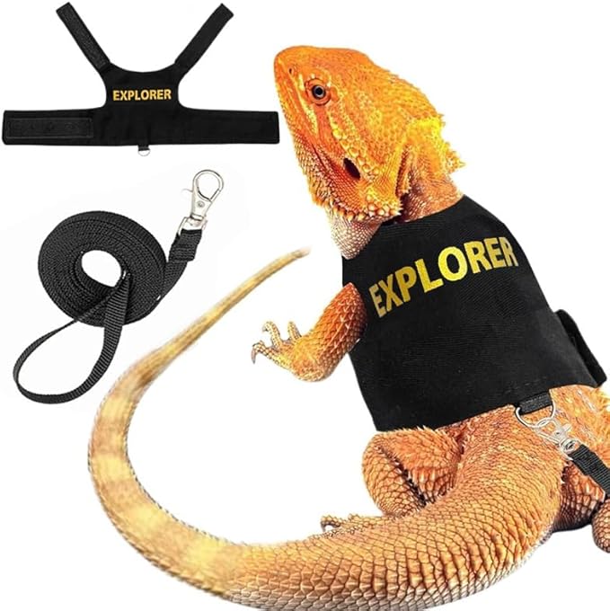 Bearded Dragon Leash and Harness Set, Adjustable Lizard Reptile Leashes Bearded Dragon Rope Accessories for Bearded Dragon Lizard Small Pets Outdoor Safety Walking(Explorer Character) HOKABLE
