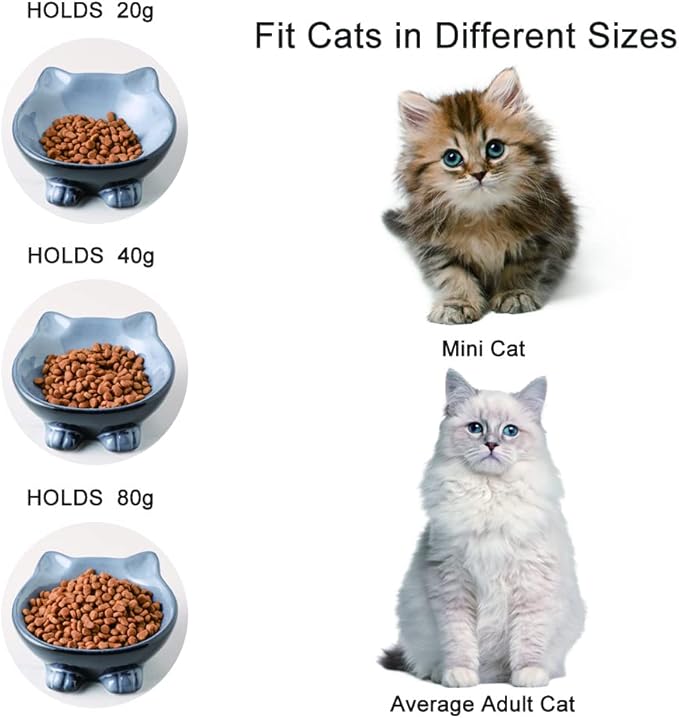 Nihow Ceramic Basic Cat Bowls: 5 Inch Cat Bowl for Food & Water - Food Grade Cat Dish for Small-Sized Cat - Microwave & Dishwasher Safe -Elegant Grey (4.25 OZ /1 PC) - PAWPICO