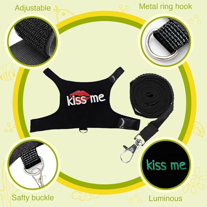 Bearded Dragon Leash and Harness Adjustable - Bearded Dragon Leash and Harness Set with Lizard Luminous Leash for Amphibians Chameleons Small Pet Animals Outdoor Safety Walking(Black) HOKABLE
