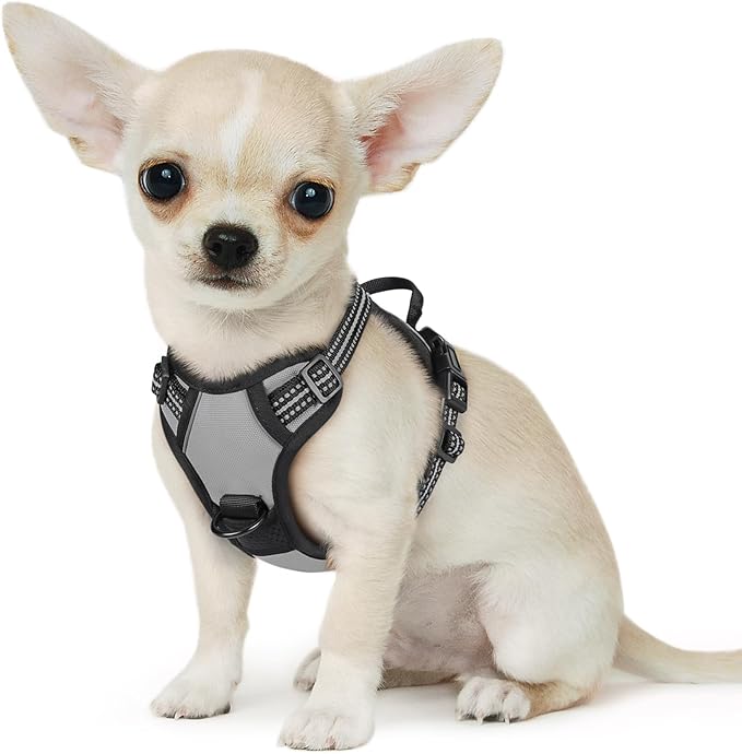Eagloo Small Dog Harness No Pull, Service Vest with Reflective Strips and Control Handle, Adjustable and Comfortable for Easy Walking, No Choke Pet Harness with 2 Metal Rings, Grey, XS GoExplorewithEagloo