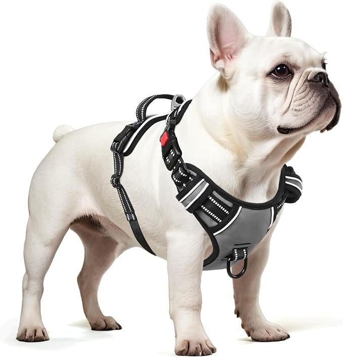 Timos Dog Harness Small Sized, No Pull Dog Harness with Neck Lockable Snap,No Choke Front Clip Dog Reflective Harness,Adjustable Metal Rings 3 Buckles,Easy Control Handle for Small Dogs Gray XS Timos