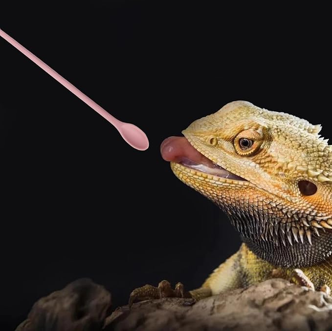 2Pcs Reptile Spoon, Reptile Powder Fruit Mixing Stirring Food Long Handle Feeding Tool Fit Crested Gecko Gargoyle Bearded Dragon FUATY