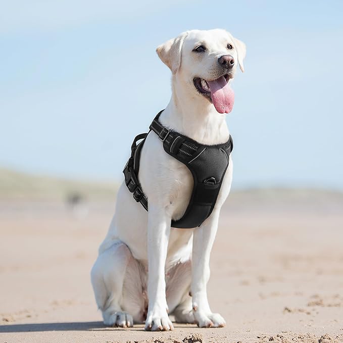 Eagloo Dog Harness for Large Dogs, No Pull Service Vest with Reflective Strips and Control Handle, Adjustable and Comfortable for Easy Walking, No Choke Pet Harness with 2 Metal Rings, Black, L GoExplorewithEagloo