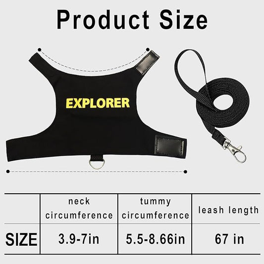 Bearded Dragon Harness and Leash Set - Self-Adhesive Adjustable Lizard Reptiles Harness Bearded Dragon Clothes, Bearded Dragon Accessories with 67in Escape Proof Nylon Leash for Outdoor Walking PAWPICO