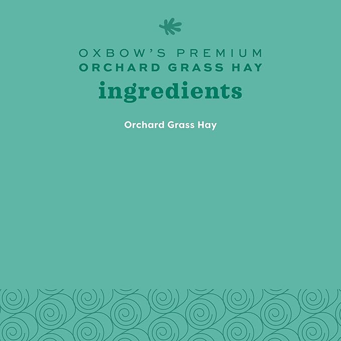 Oxbow Animal Health Orchard Grass Hay - All Natural Grass Hay for Chinchillas, Rabbits, Guinea Pigs, Hamsters & Gerbils - 15 oz. OxbowAnimalHealth