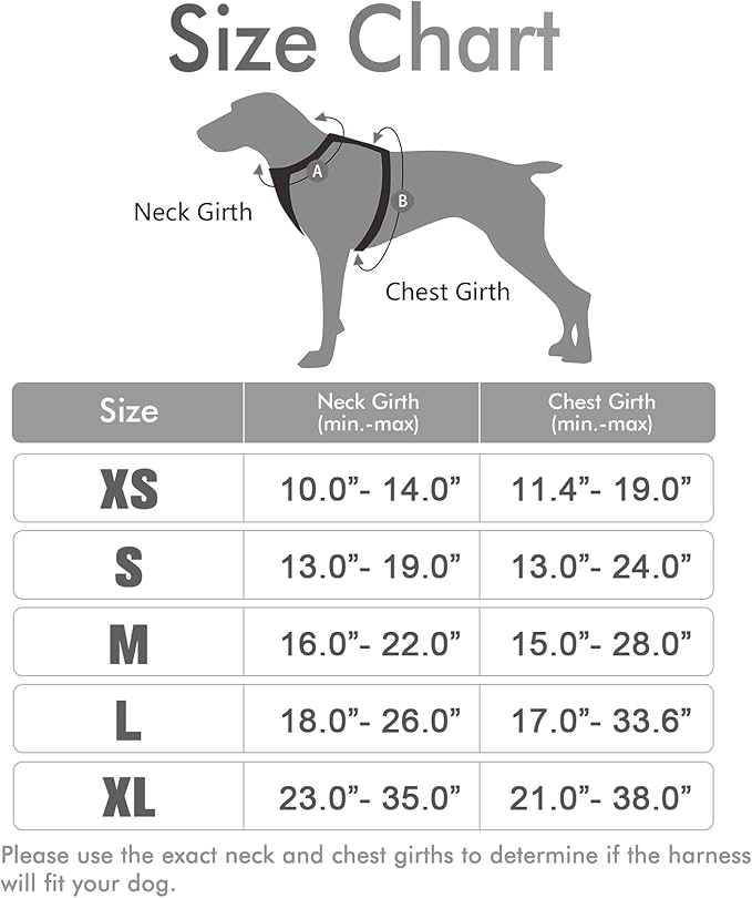 rabbitgoo Dog Harness, No-Pull Pet Harness with 2 Leash Clips, Adjustable Soft Padded Dog Vest, Reflective No-Choke Pet Oxford Vest with Easy Control Handle for Large Dogs, Grey, XL - PAWPICO