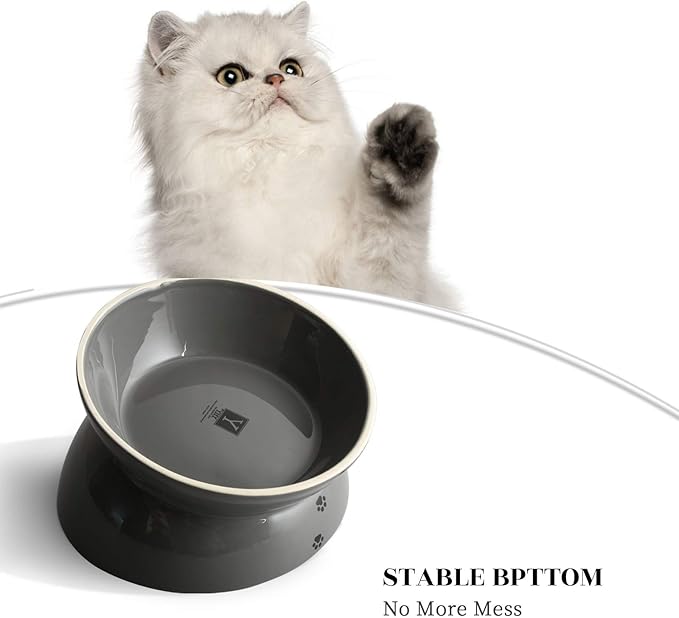 Y YHY Dog Food Bowl, Raised Dog Bowls Anti Vomiting, 7 Inch Tilted Elevated Dog Bowl, Ceramic Pet Food Bowl for Small Medium Large Dogs and Cats, Grey - PAWPICO