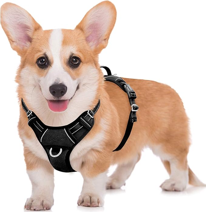 BARKBAY No Pull Dog Harness Large Reflective Dog Harness with Front Clip and Easy Control Handle for Walking Training Running with ID tag Pocket(Black,M) BARKBAY