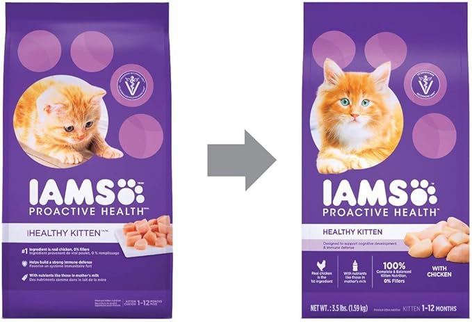 IAMS PROACTIVE HEALTH Healthy Kitten Dry Cat Food with Chicken Cat Kibble, 16 lb. Bag - PAWPICO