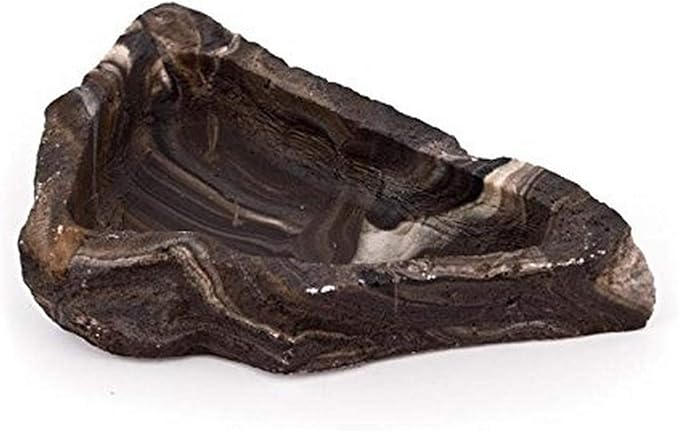 Fluker's Nonporous Food/Water Reptile Corner Bowl, Large Flukers