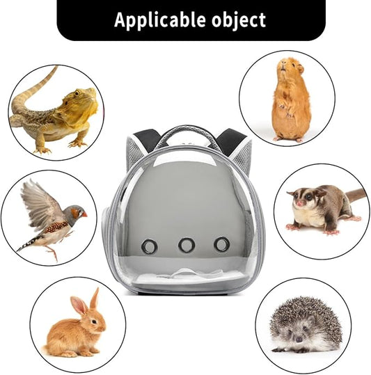 Bearded Dragon Lizard Backpack Carrier with Harness and Leash Set, Small Animal Carrier Backpack, Space Capsule Bubble Window Carrier Backpack, Small Pet Carrier Backpack, Airline Approved (Black) UOOPET