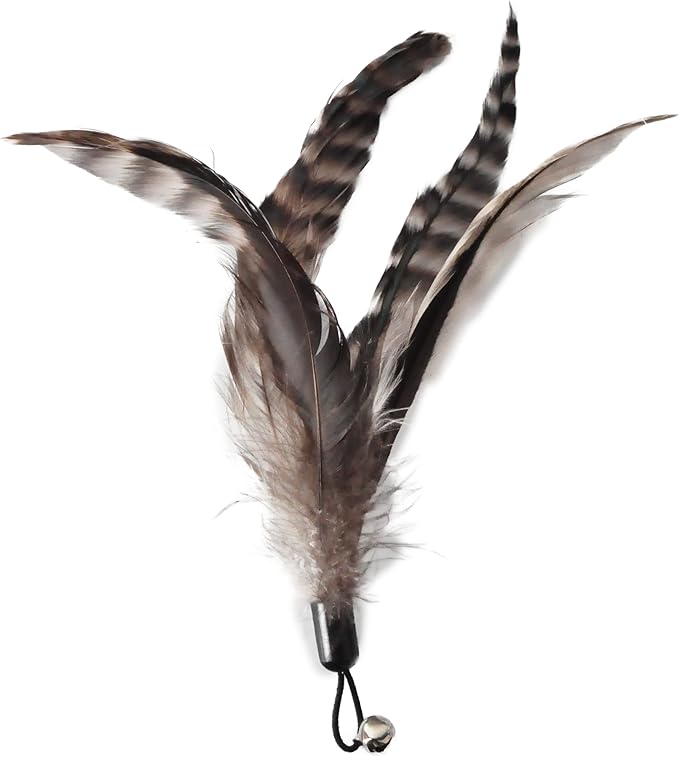 Cat Toys - No Chemical Dyeing Cat Feather Toys for Indoor Cats - Include Cat Wand and Natural Feather Refills - PAWPICO