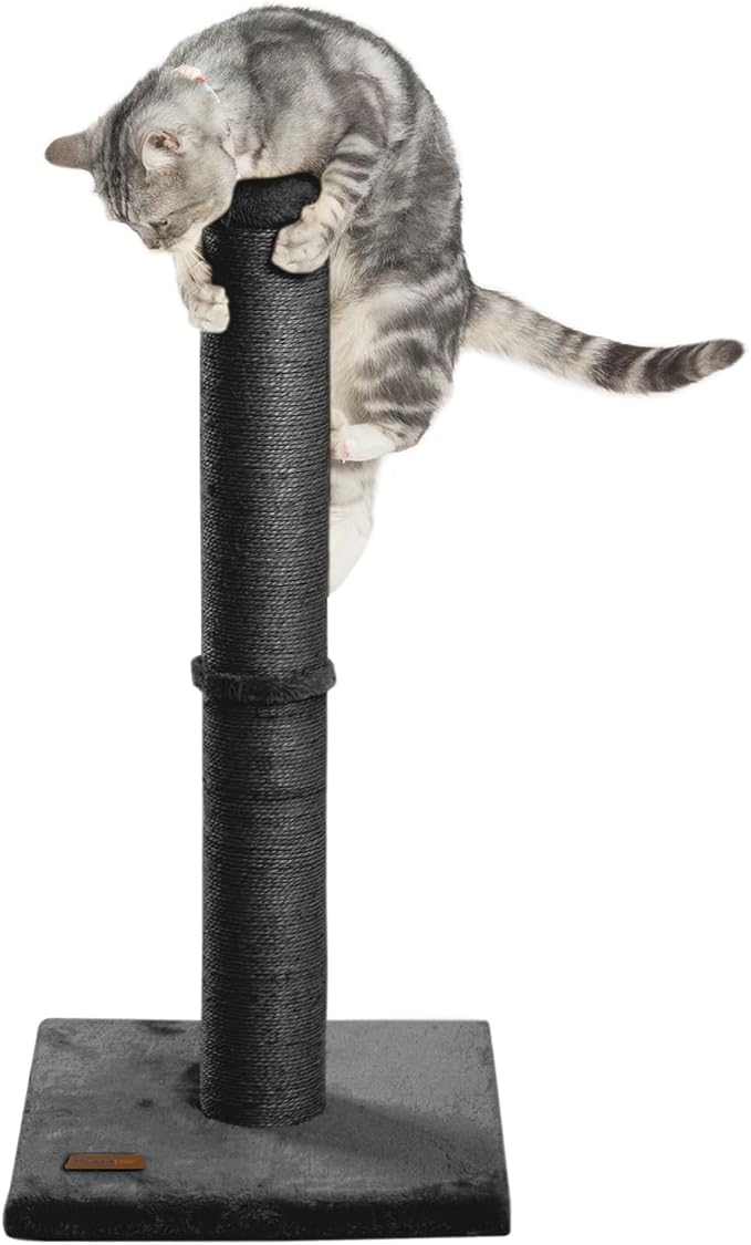 34inch Cat Scratching Post with Natural Sisal Rope 4.3Inch Large Diameter Scratcher Post Tree for Indoor Cats Black - PAWPICO