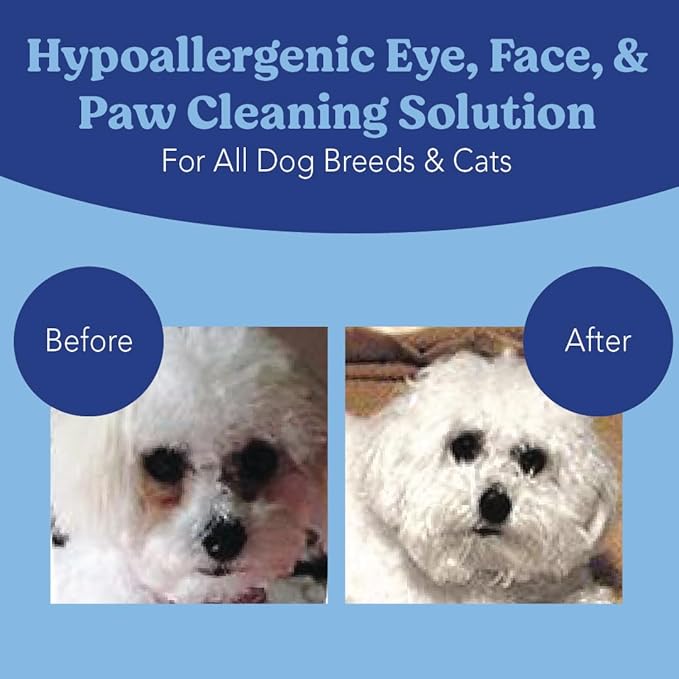 ANGELS’ EYES Face, Eye & Paw Cleansing & Tear Stain Wipe, Large 4”x7” Hypoallergenic Dog & Cat Wipes, Reduce Tear Stains, Dirt, and Discharge, Fragrance Free, 40 Count AngelsEyes
