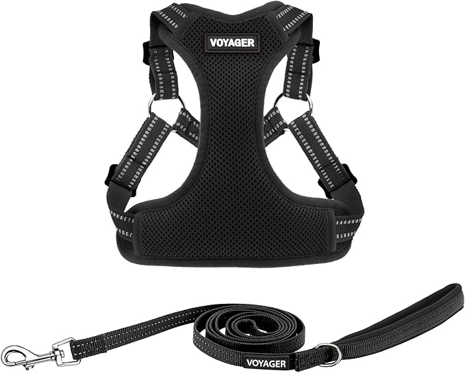 Best Pet Supplies Voyager Adjustable Dog Harness Leash Set with Reflective Stripes for Walking Heavy-Duty Full Body No Pull Vest with Leash D-Ring, Breathable All-Weather - Harness (Black), XL BestPetSuppliesLLC