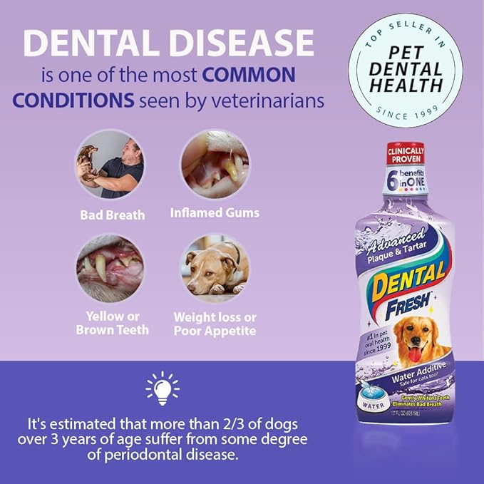 Dental Fresh Advanced Plaque and Tartar Water Additive, 32oz – Dog Teeth Cleaning Formula to Freshen Breath and Improve Overall Oral Health DentalFresh