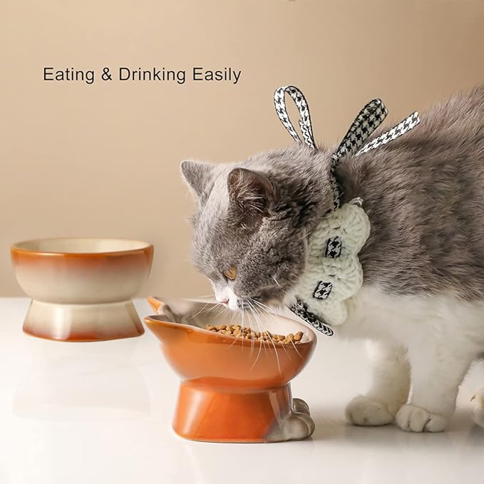 Nihow Elevated Cat/Dog Bowls Set : 5 Inch Ceramic Raised Cat Food & Water Bowl Set for Protecting Pet's Spine - Feeding & Watering Supplies for Pets - Elegant Brown (2 PC) - PAWPICO