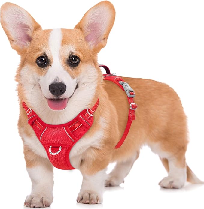 BARKBAY No Pull Dog Harness Large Reflective Dog Harness with Front Clip and Easy Control Handle for Walking Training Running with ID tag Pocket(Red,M) BARKBAY