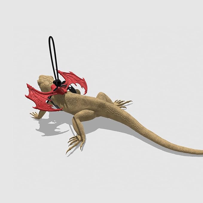 Bearded Dragon Leash and Harness Set Adjustable Design, Bearded Dragon Leash with Wings Silicone,Deal for Amphibians and Other Small Pet Animals (Red) Enrichoice