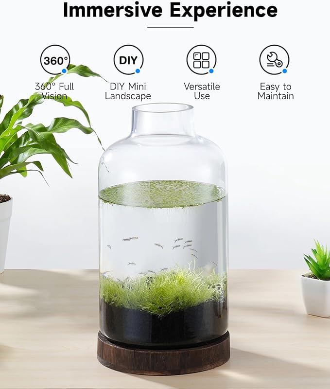PONDON 1 Gallon Fish Bowl Vase, Featured Aquarium Kit Aquariums Channel, Wooden Base and Water Changer Included PONDON