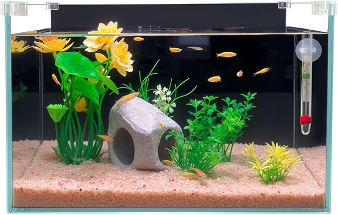 3.4-Gallon Ultra Clear Low Iron Glass Fish Tank Kit, Fish Tank for Betta Fish, with Fish Hideaway, Artificial Water Plants, Thermometer, and PH Test Paper WelcometoCICKSEED