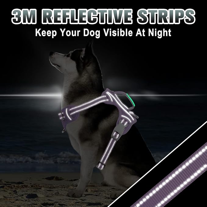 BARKBAY No Pull Dog Harness Large Reflective Dog Harness with Front Clip and Easy Control Handle for Walking Training Running with ID tag Pocket(Violet Purple,S) BARKBAY