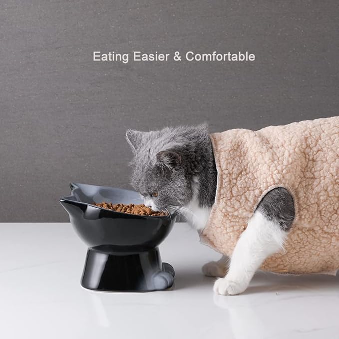 Nihow Elevated Cat/Dog Bowls: 6.25 Inch Ceramic Raised Cat Food & Water Bowl Set for Protecting Pet's Spine - Feeding & Watering Supplies for Cat/Small Size Dog - Elegant Gray (6.8 OZ /1 PC) - PAWPICO