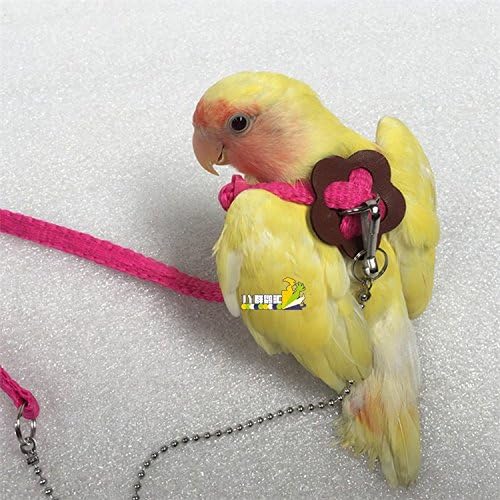 Hypeety Reptile Lizard Outdoor Walk Adjustable Harness Leash Anti-bite Light Soft Bearded Dragon Accessories Parrot African Grey Cockatoo Macaw Ringneck Outside Free Lovebird Supplies (Random Color) Hypeety