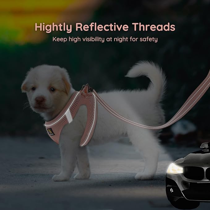 BELLA & PAL Puppy Harness with Leash Set, Dog Harness for Small Dogs No Pull, Dog Leash for Small Dogs, Step in Harness for Extra Small Dogs, Pink Harness, S BELLAPAL