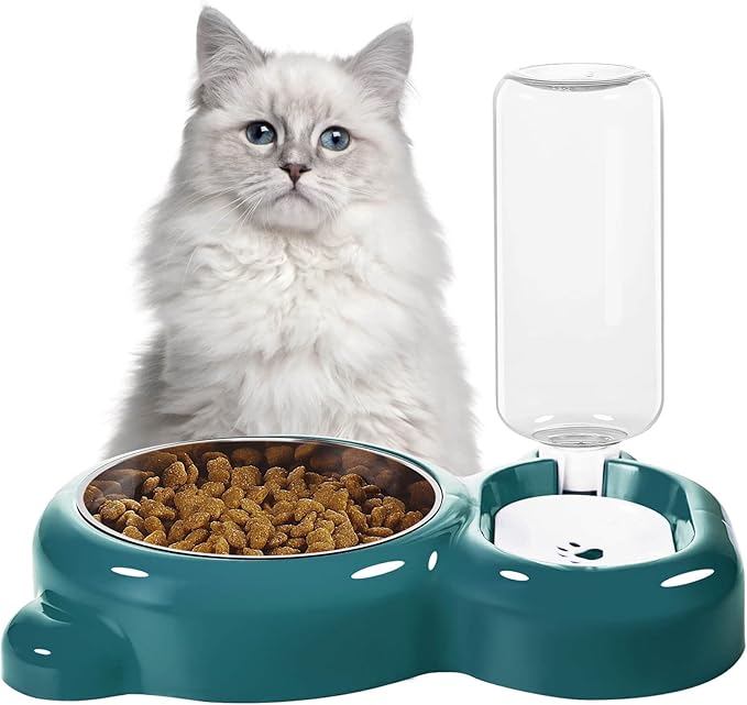 Dog Bowls, Cat Food and Water Bowl Set with Water Dispenser and Stainless Steel Bowl for Cats and Small Dogs - Dark Green - PAWPICO