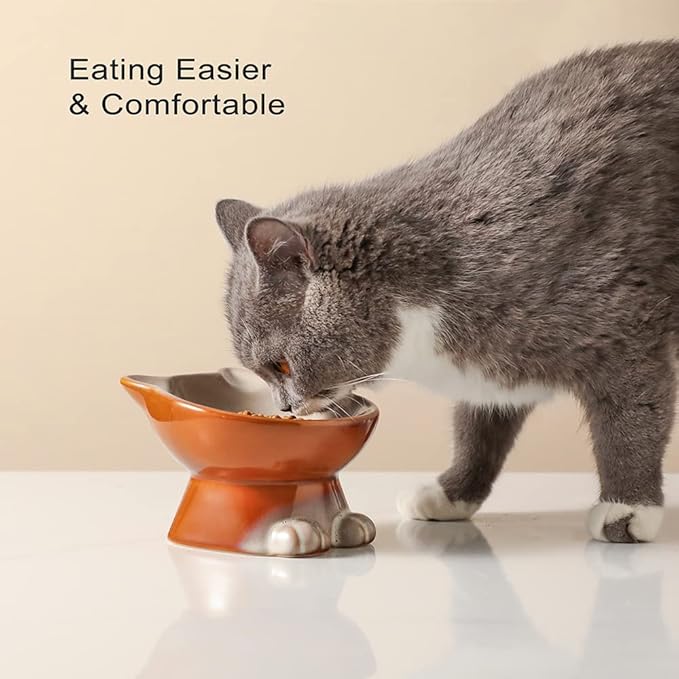 Nihow Elevated Cat/Dog Bowls: 5 Inch Ceramic Raised Cat Food & Water Bowl Set for Protecting Pet's Spine - Feeding & Watering Supplies for Pets - Elegant Brown (4.5 OZ /1 PC) - PAWPICO