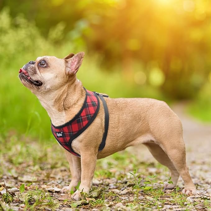 PUPTECK Soft Mesh Dog Harness and Leash Set Pet Puppy Cat Comfort Padded Vest No Pull Harnesses, Red&Black, L PUPTECK