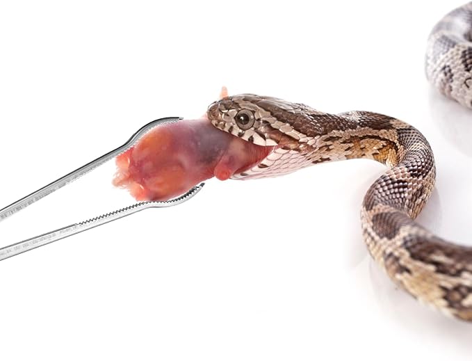 Reptile Feeding Tongs, 15 Inch Snake Feeding Tongs Anti-Skid Easy-Grip Extra Long Tweezers for Terrarium Corn Ball Python Accessories Axolotl Bearded Dragon Feeding Supplies lasuroa